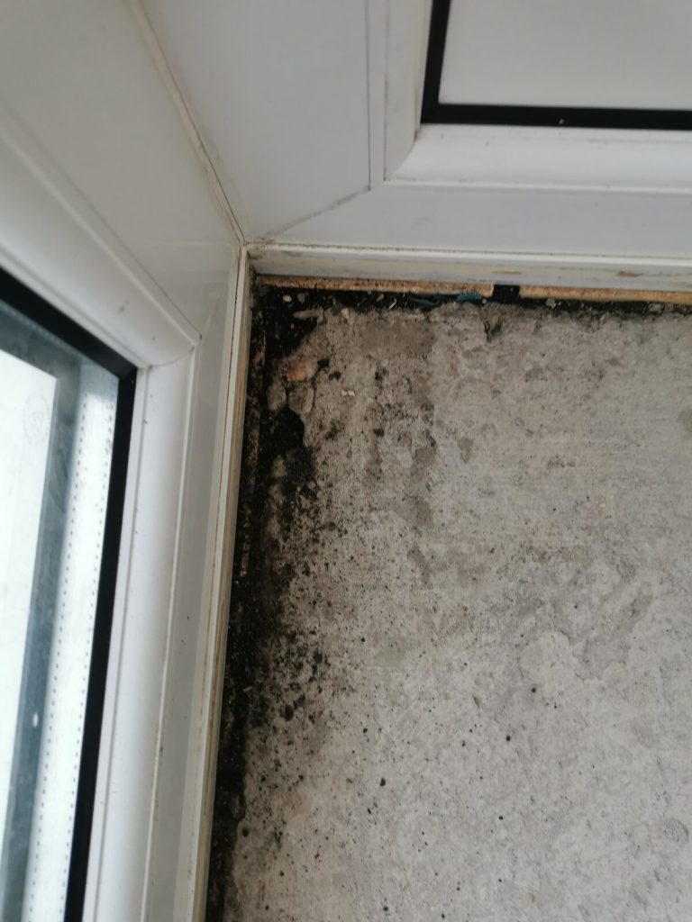 Why Is my conservatory damp? understanding moisture problems 3 Property Damage