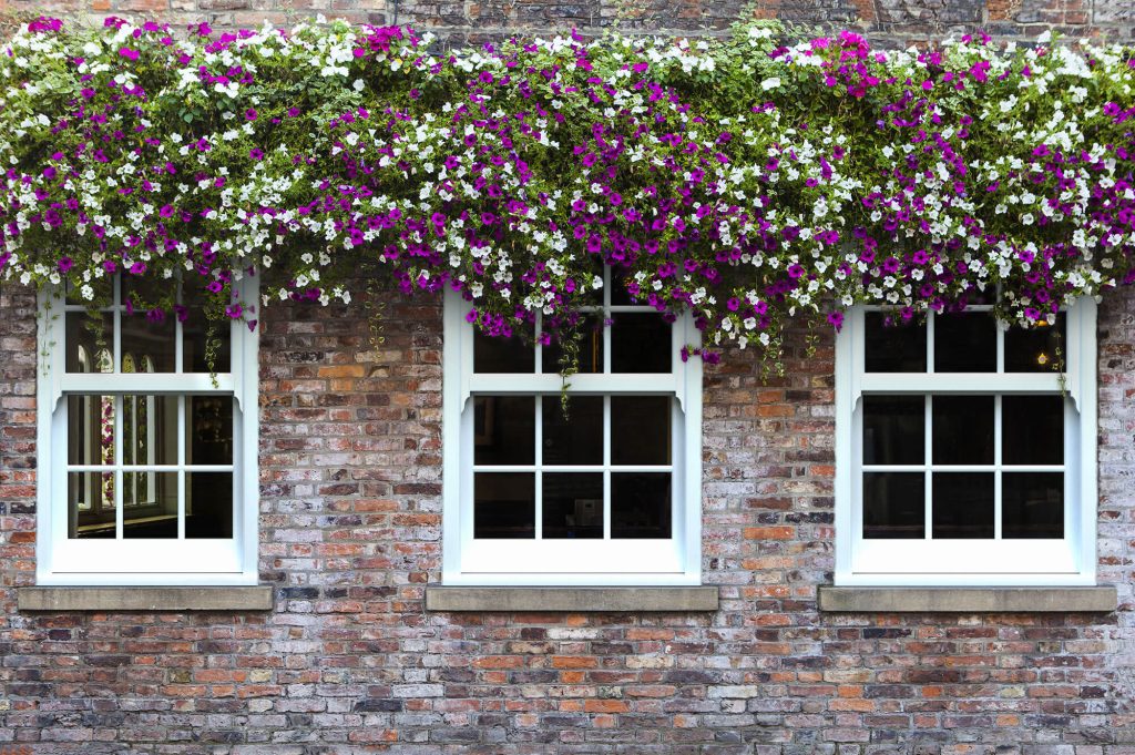 Sliding Sash Windows